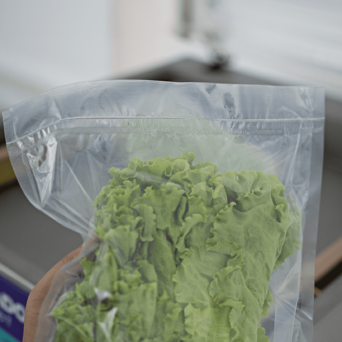 Cetro Chamber Vacuum Sealer CCVS 500 T